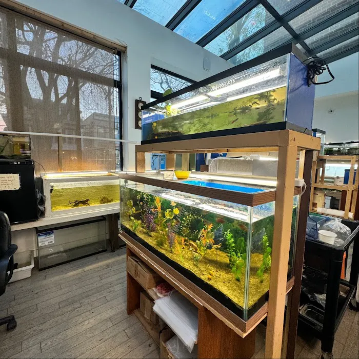 City Island Aquarium Tropical Fish Sales Picture 7