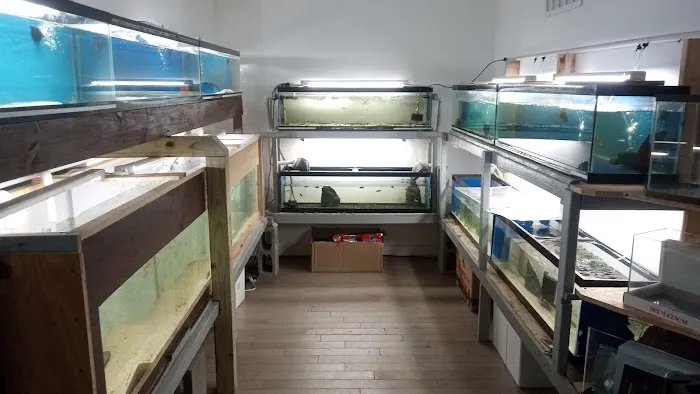 City Island Aquarium Tropical Fish Sales Picture 9