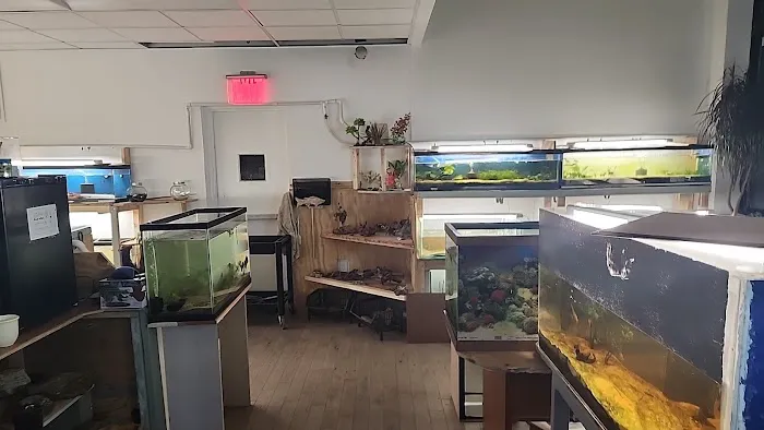 City Island Aquarium Tropical Fish Sales Picture 8