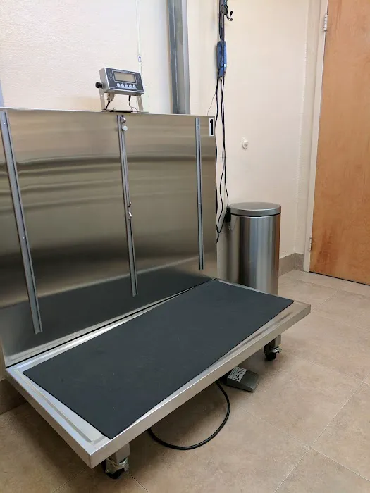 Animal Hospital of Roslyn Picture 9