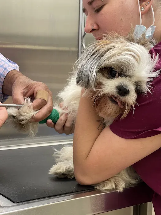 Animal Hospital of Roslyn Picture 10