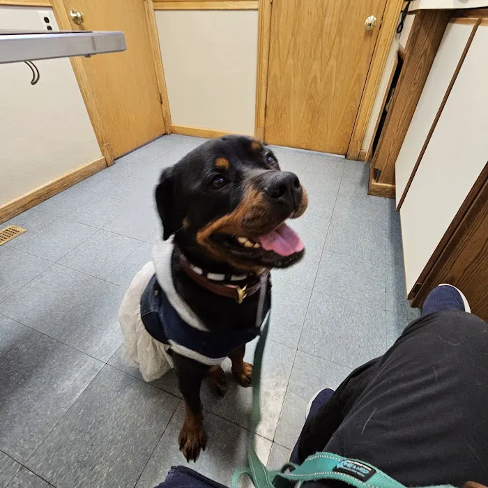 North Shore Veterinary Hospital Picture 5