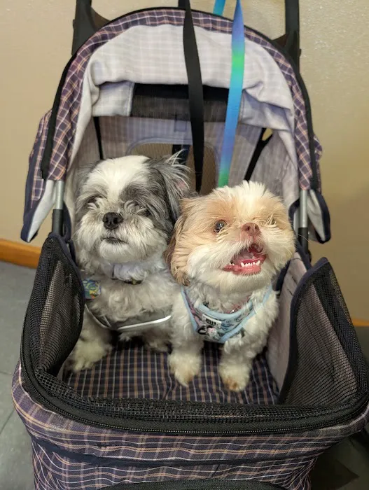 North Shore Veterinary Hospital Picture 4