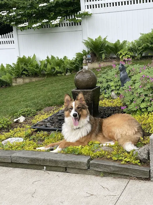North Shore Veterinary Hospital Picture 9