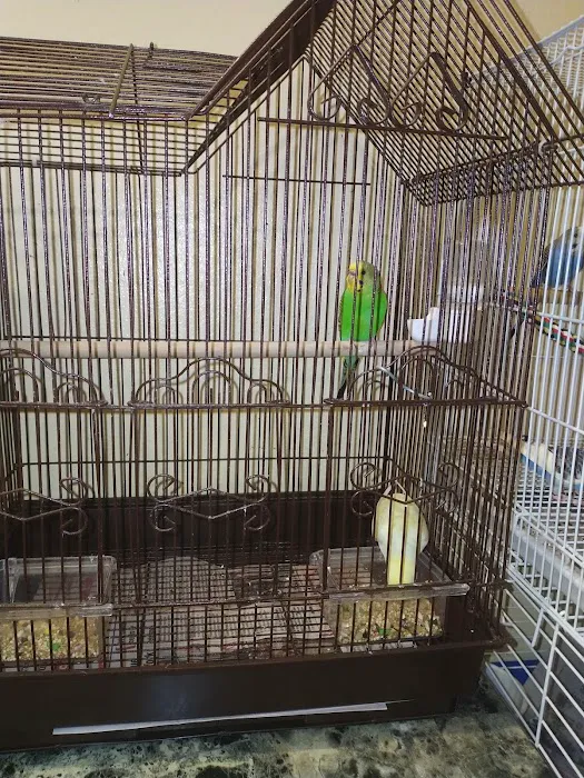 Pet City Picture 4