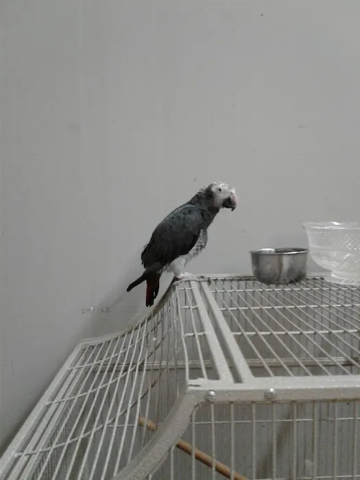Gabby Pets Picture 10