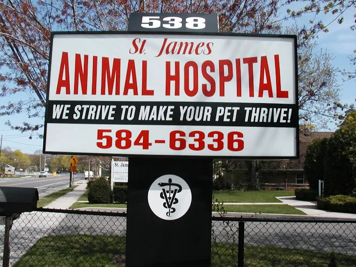 St. James Animal Hospital Picture 3