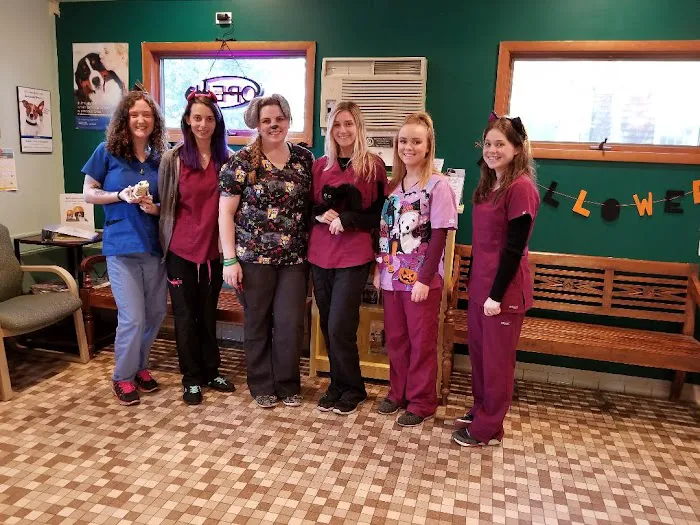 St. James Animal Hospital Picture 4