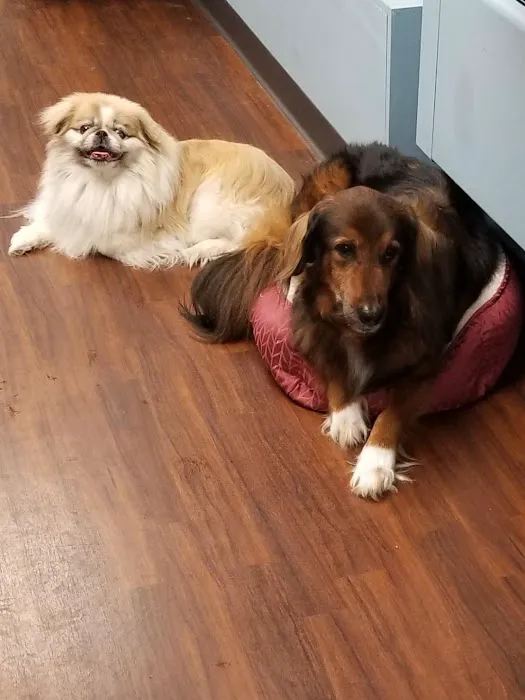 St. James Animal Hospital Picture 5