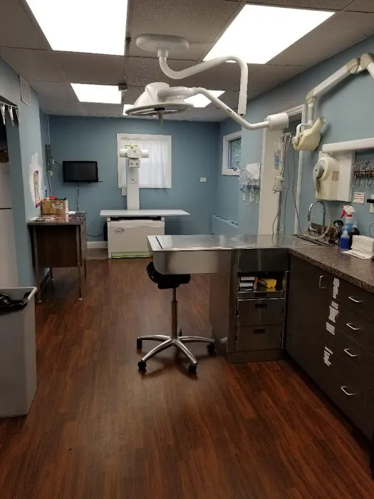 St. James Animal Hospital Picture 8