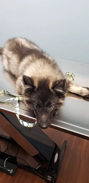 St. James Animal Hospital Picture 9