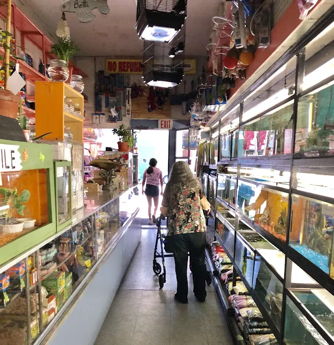 J & J Pet Shop Picture 2