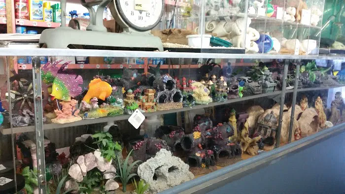 J & J Pet Shop Picture 3