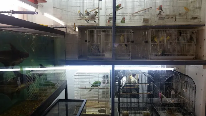 J & J Pet Shop Picture 9