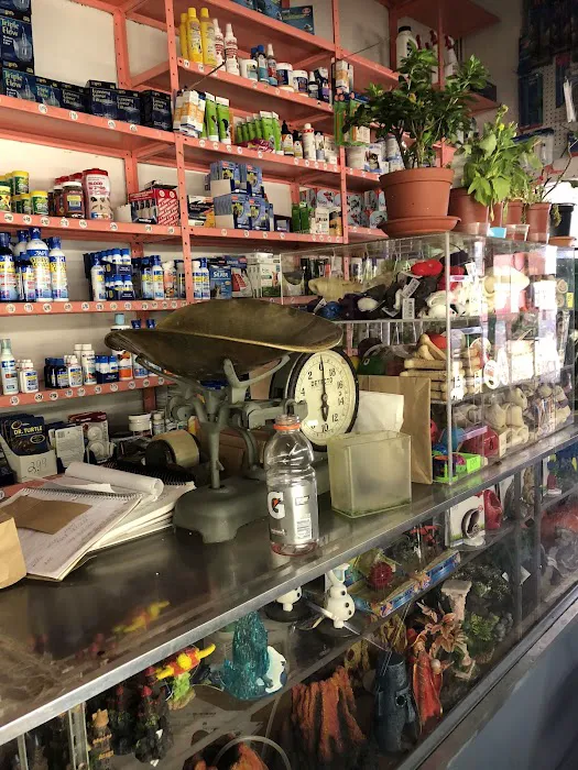 J & J Pet Shop Picture 8