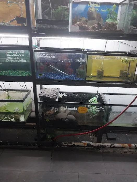 J & J Pet Shop Picture 10