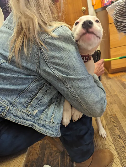 Fitzgerald Veterinary Picture 10