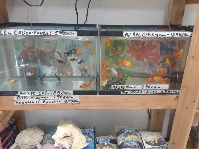 R.S.Pet Center Inc. Picture 4