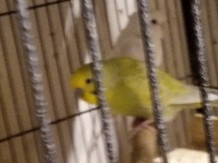 R.S.Pet Center Inc. Picture 3