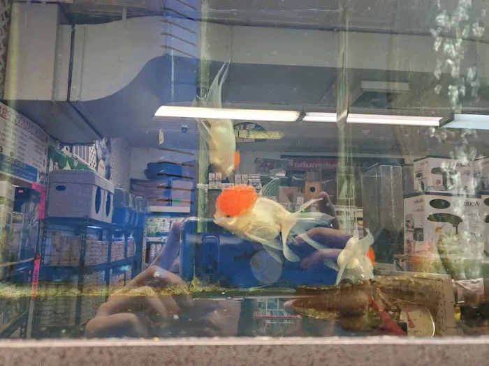 Crosby Pet Center Inc Picture 1