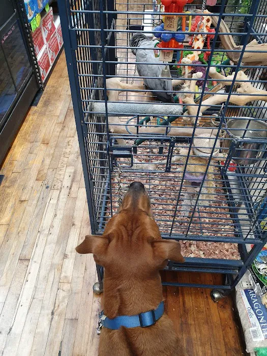 Crosby Pet Center Inc Picture 3