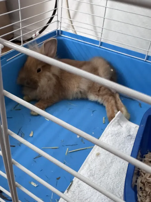Crosby Pet Center Inc Picture 2