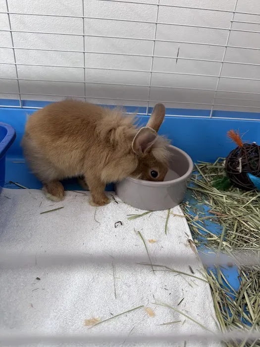 Crosby Pet Center Inc Picture 8