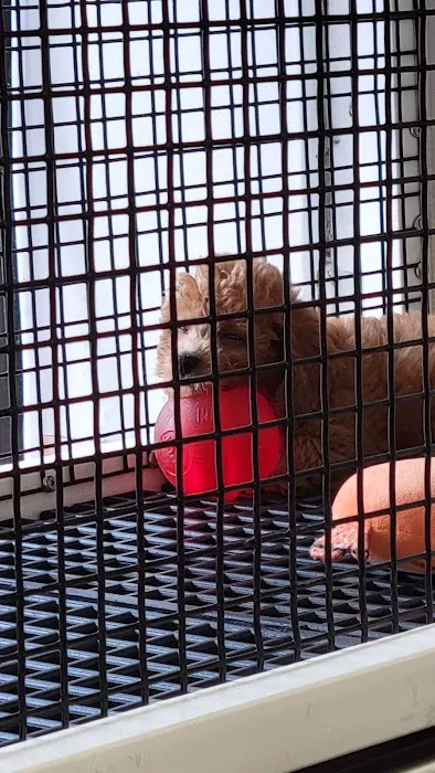 Crosby Pet Center Inc Picture 6