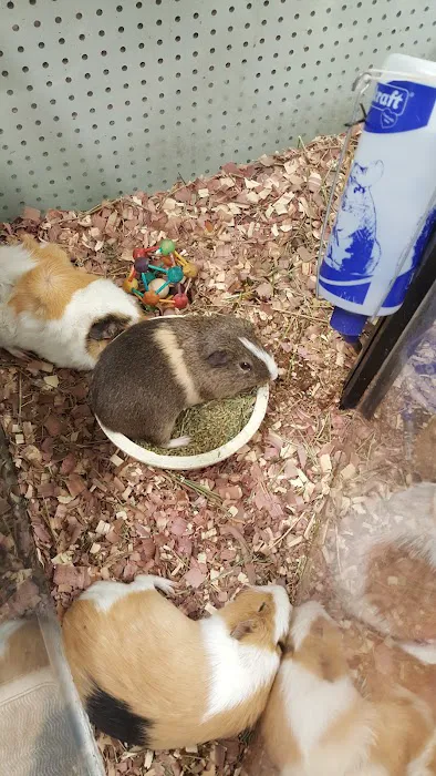 Crosby Pet Center Inc Picture 5