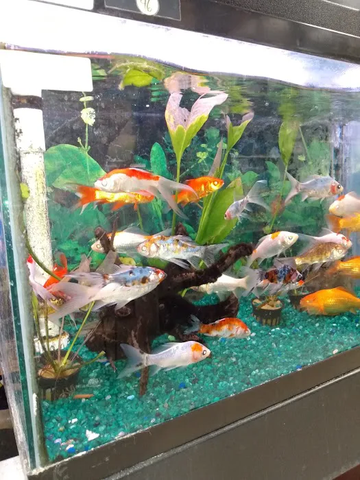 Whole Pets Market Picture 1