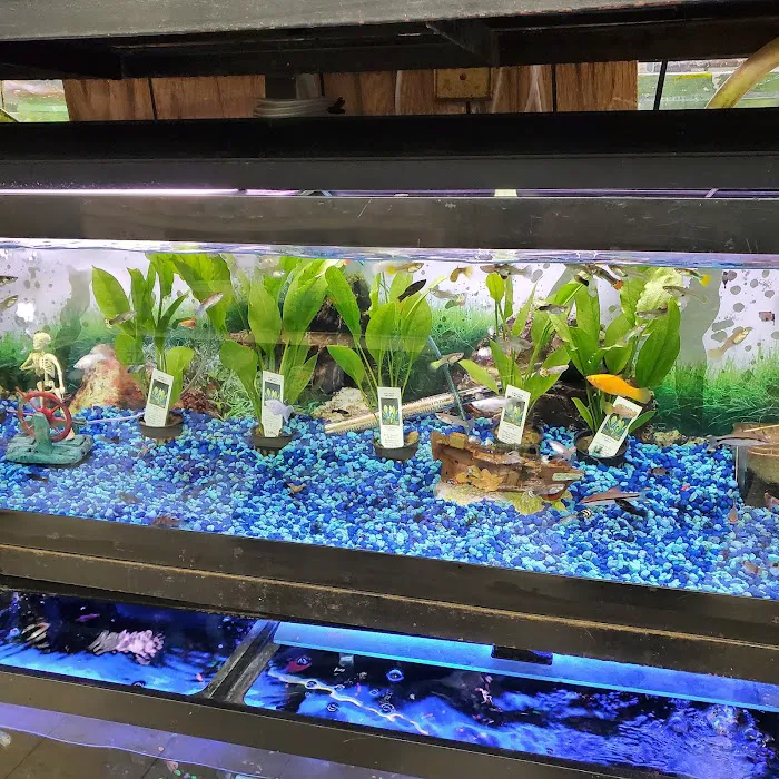 Whole Pets Market Picture 2