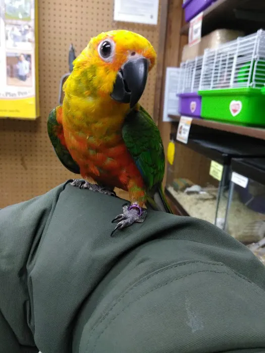 Whole Pets Market Picture 4