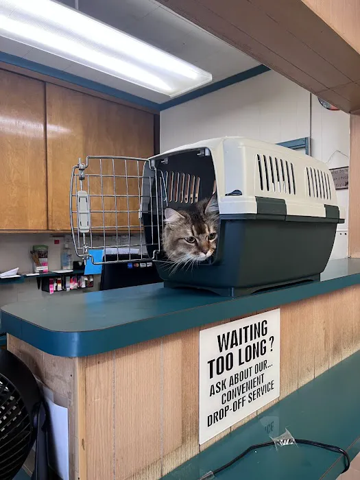 A & A Veterinary Hospital Picture 3