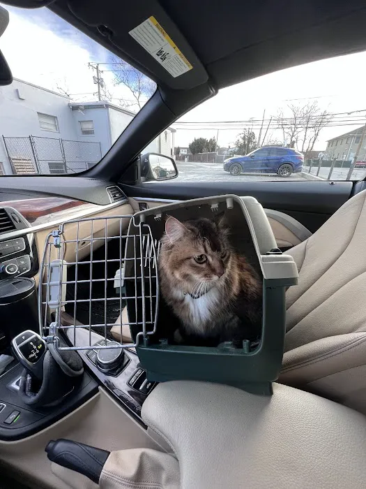 A & A Veterinary Hospital Picture 5