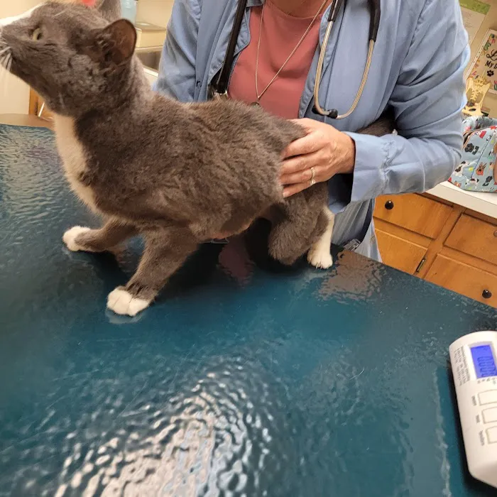 A & A Veterinary Hospital Picture 9