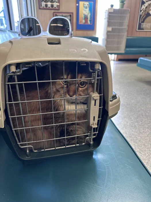 A & A Veterinary Hospital Picture 6