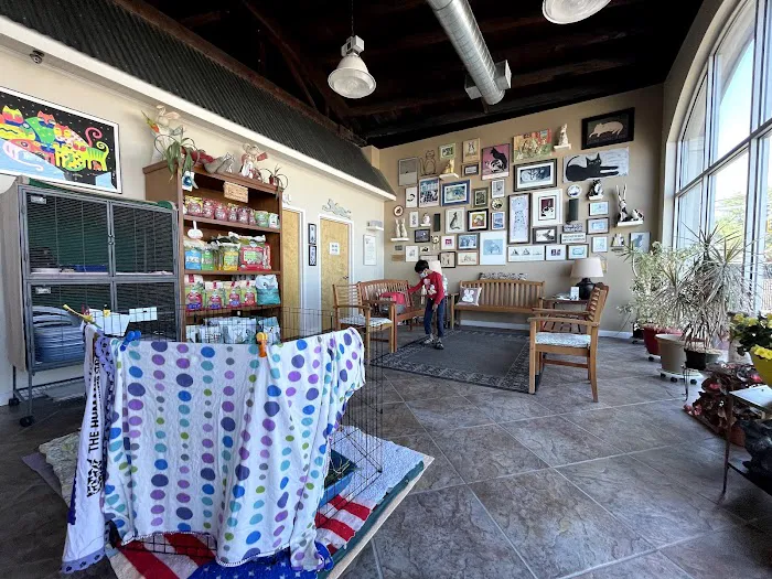 Catnip and Carrots Veterinary Hospital Picture 3