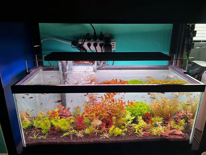 Happy Aquarium Plants Picture 3
