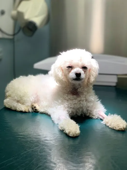 Broadway Veterinary Care Picture 6
