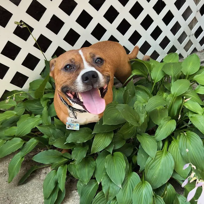 Broadway Veterinary Care Picture 7