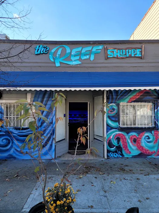 The Reef Shoppe Picture 2
