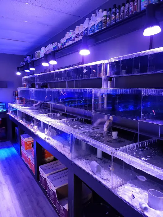 The Reef Shoppe Picture 6