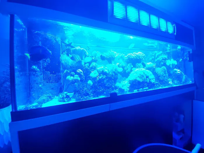 The Reef Shoppe Picture 4