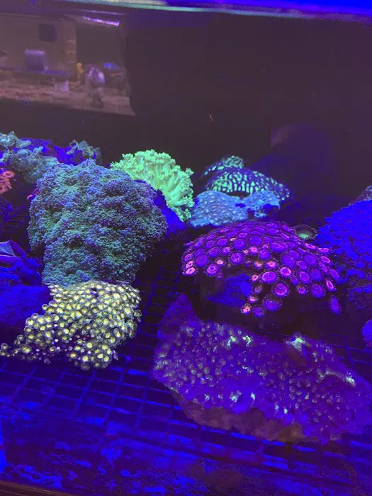 The Reef Shoppe Picture 9