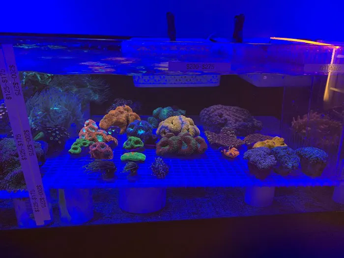 The Reef Shoppe Picture 8
