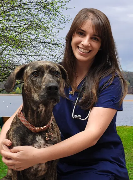 Five Towns Animal Hospital Picture 1