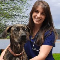 Five Towns Animal Hospital ico