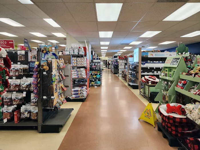 Petco Picture 3