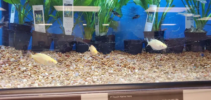 Petco Picture 5