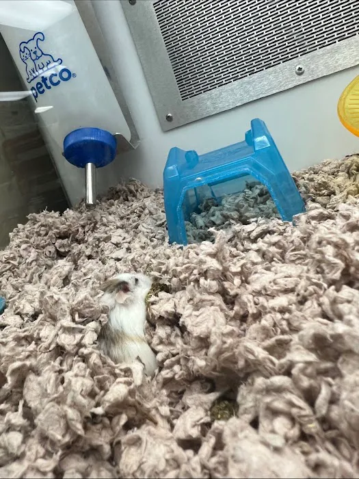 Petco Picture 8